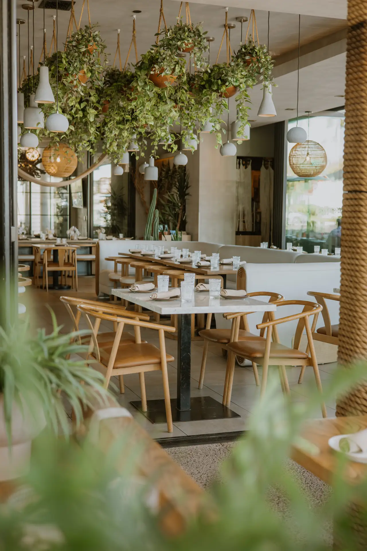 CALA's dining room under hanging plants