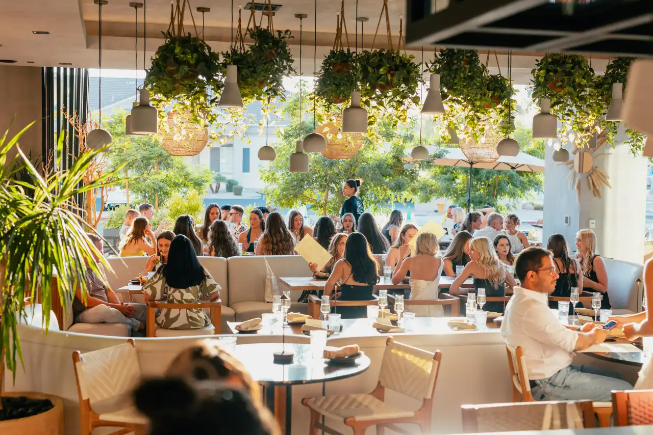 A sunlit dining room under hanging plants at CALA Scottsdale